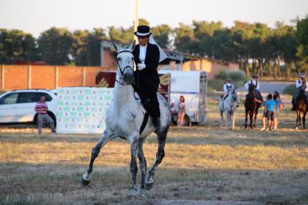 Imagen DOMA Y VAQUILLAS FIESTAS 2017